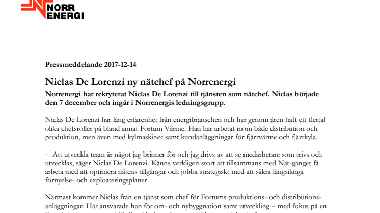Niclas De Lorenzi ny nätchef på Norrenergi