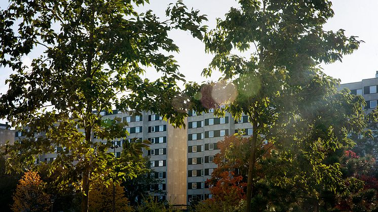 Husen på Malmvägen i Sollentuna. Foto: Ida Borg.