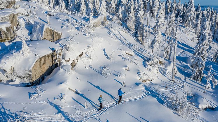 Fichtelberg vintervandring i naturpark  Fichtelgebirge © DZT/Florian Trykowski