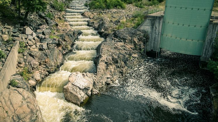 Foto: Jonas Forsberg / Naturfotograferna / IBL Bildbyrå