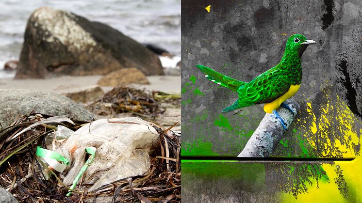 Leviathan, Daniel Segerberg - The Bird Project, Erik Berglin