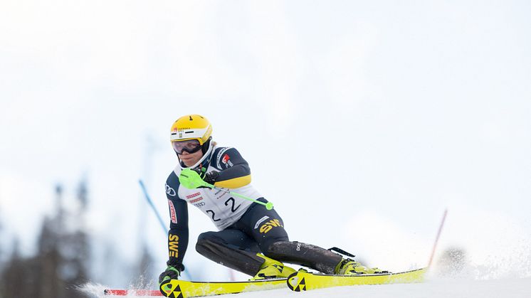Bildförslag: Axel Lindqvist, Sundsvalls SLK, är regerande svensk mästare i slalom och får chansen att upprepa bedriften på hemmaplan i mars. Foto: Niklas Axhede