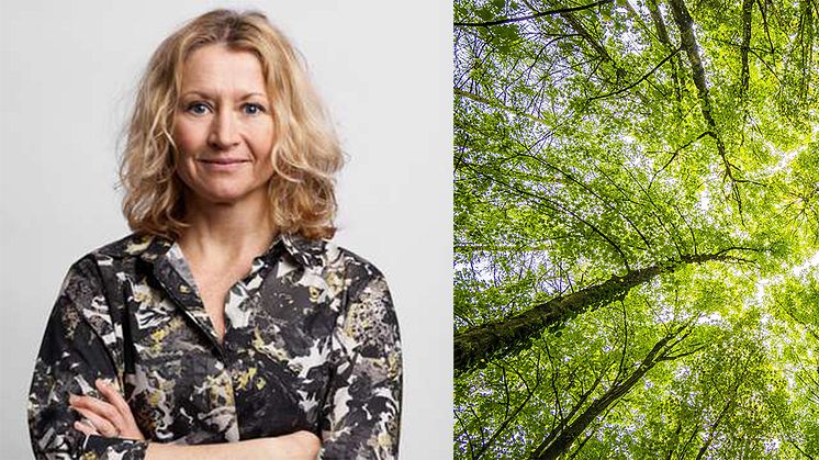 Karin Ruiz, vice VD på Sting och initiativtagare till Startup Climate Action