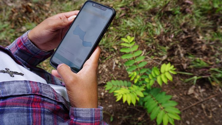 2020_TakingRoot Technician using FARM-TRACE-mobile to record a newly planted tree (1).JPG