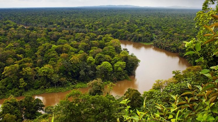 Danskernes regnskov i Costa Rica