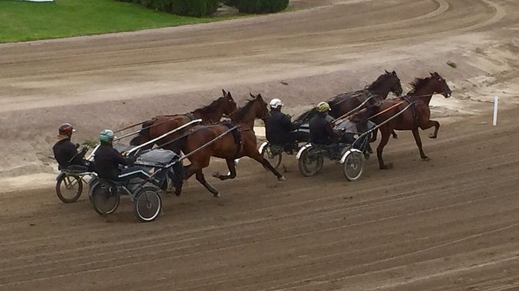 Svante Båth med personal kör träningsjobb på Solvalla