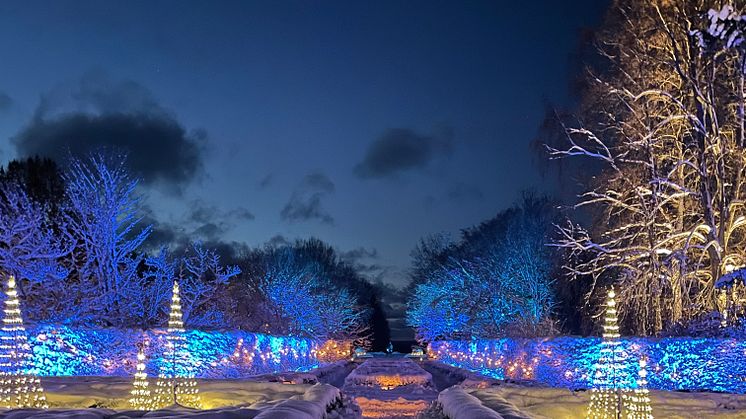 Vinter på Norrviken –  lekfullt, kontrastrikt och tid för gemenskap 