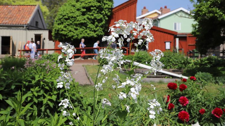 Pressinbjudan: Smygöppning och guidning på Krusenstiernska gården