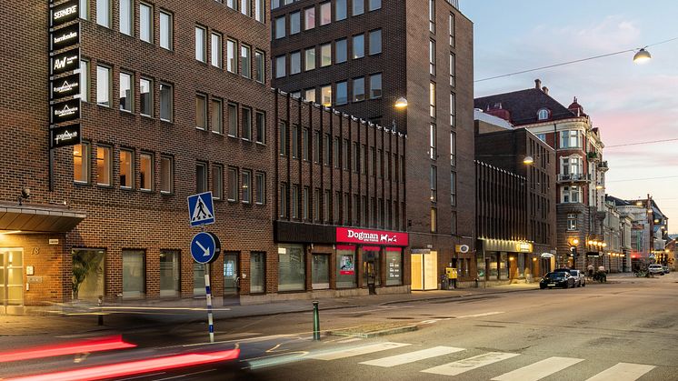 Dogman utökar sitt citynära koncept och till våren 2023 öppnar man en 800 kvm stor citybutik med hundspa och aktivitetsyta i centrala Malmö. (Bilden är ett montage) Foto: Alexander Olivera 