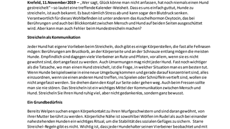 Fressnapf-Tierratgeber 11/2019: Jetzt wird gekuschelt