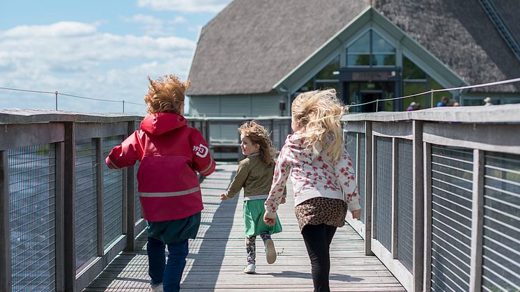 Naturum Hornborgasjön. Foto: Länsstyrelsen i Västra Götaland