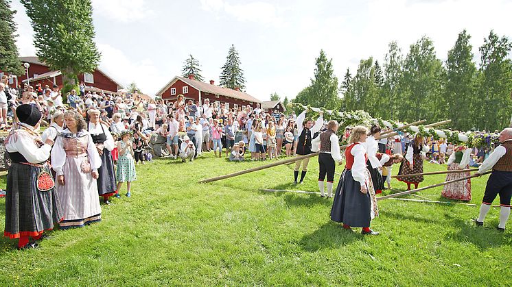 Resning av stången vid midsommarfirande på Stenegård. Ett av många arrangemang av Järvsö Hembygdsförening.