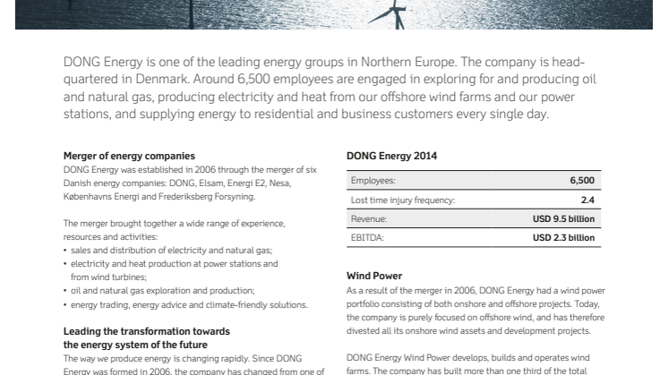 DONG Energy fact sheet