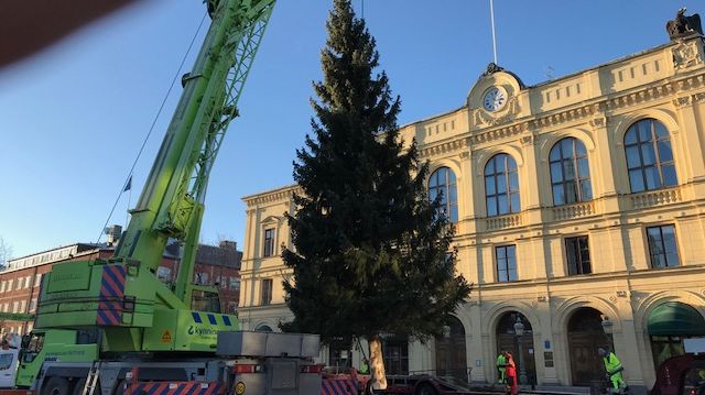 Bild från när 2018 års gran sattes upp på Stora torget i Karlstad.