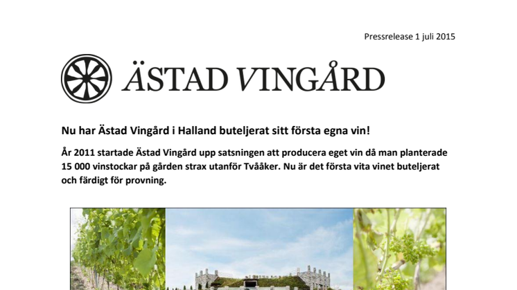 Nu har Ästad Vingård i Halland buteljerat sitt första egna vin!