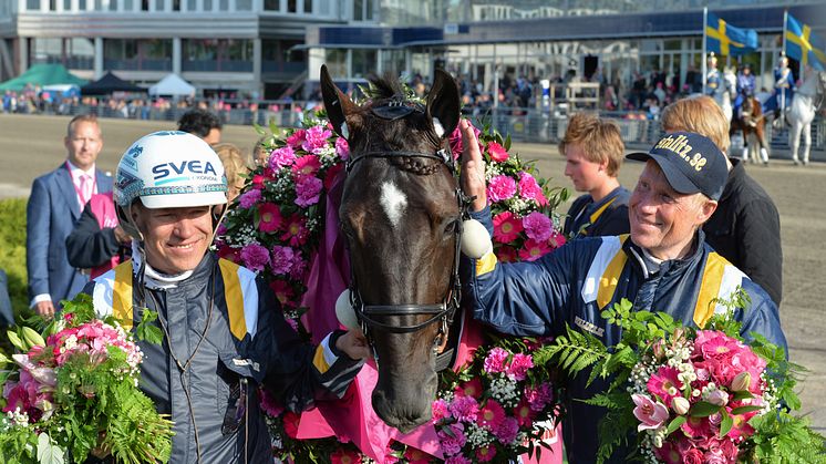Nuncio efter segern i Elitloppet 2016. Foto: TR Media/Kanal 75