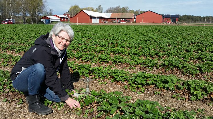 Anna Wilén. Foto: Ola Ekstrand