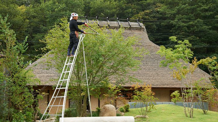 Japansk stege är Årets Trädgårdsprodukt 2018. Foto: ARS - Nakaya Scandinavia AB