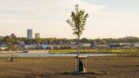 Nytt besked för gymnastikhall i Lund