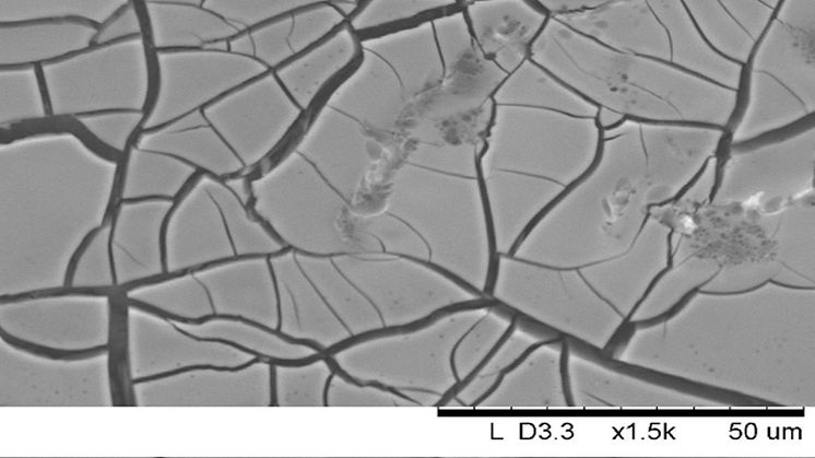 Hinna av titandioxid på behandlad hud. Bilden är tagen med svepelektronmikroskopi av Gulaim Seisenbaeva, SLU. 