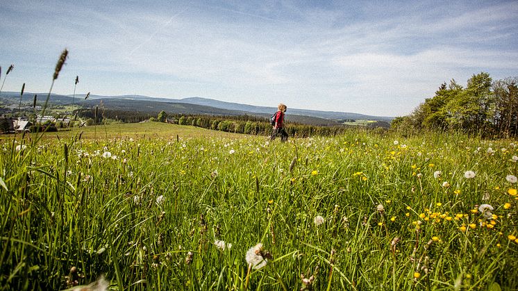 Wandern im Erzgebirge (Foto: TV Erzgebirge e.V./René Gaens ) 