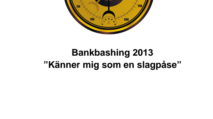 Rapport bankbashing 2013