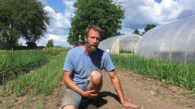Markedshage-gartner Jonas Ringqvist hadde fulle saler da han holdt kurs i småskala grønnsaksdyrking i Norge.