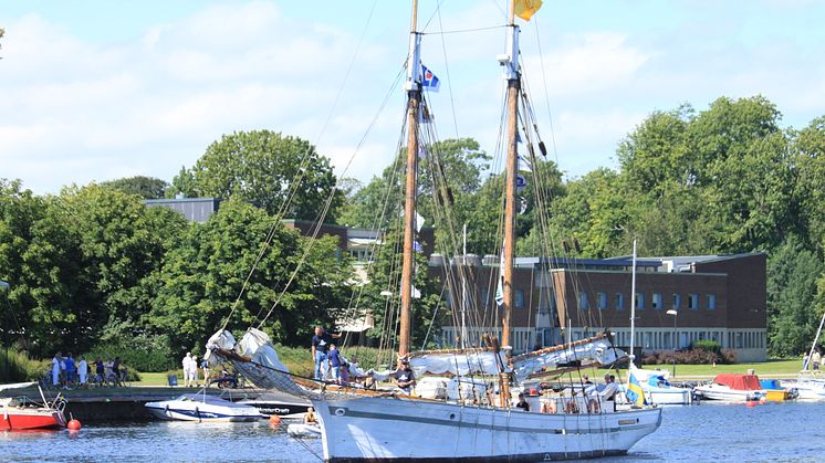 Skepp under The Tall Ships Races. Fotograf: Erica Lundberg DHAB