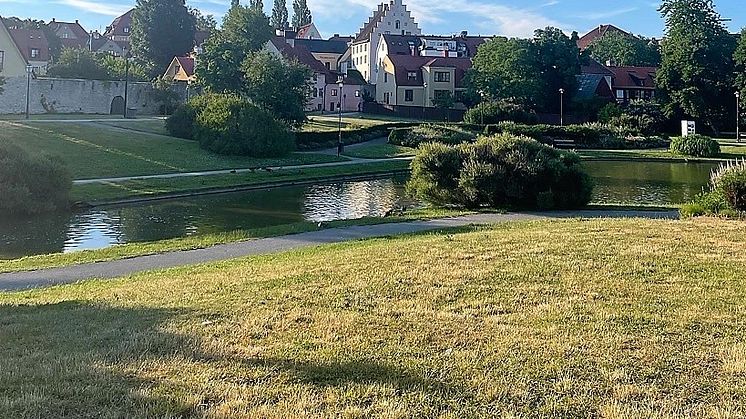 Vattenlunch i Almedalen lyfter den akuta försörjningsfrågan 