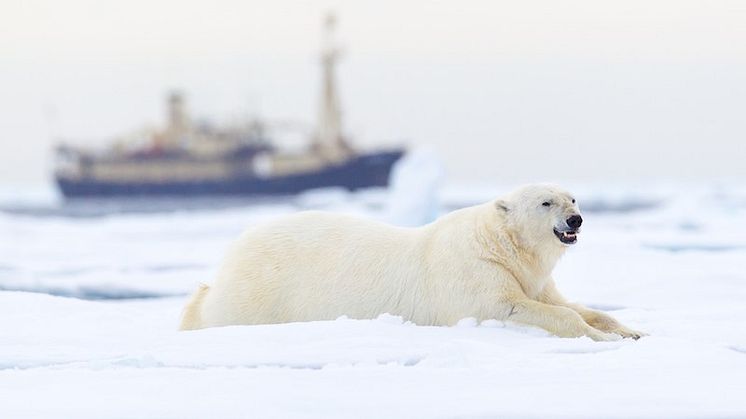 Foto: Getty Images