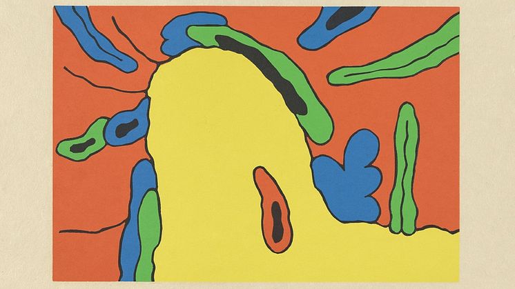 Carroll Dunham, "Places and Things (#4)" (cropped), The Grenfell Press, 1992 © Dunham, Carroll/BONO Photo: Nasjonalmuseet / Andreas Harvik