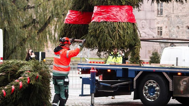 1 december är det dags för julbocken Julius att inta Järntorget!