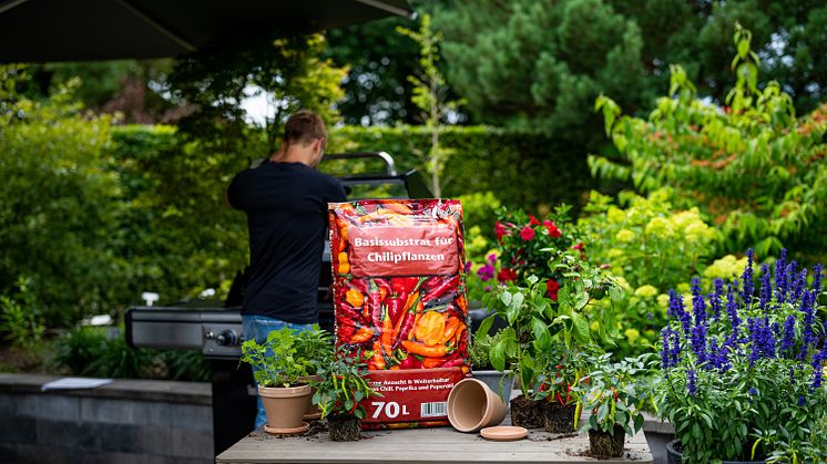 Neues Universal Chili-Substrat von Floragard für die Aussaat und Weiterkultur von Chilipflanzen in Gartenbau-Qualität.