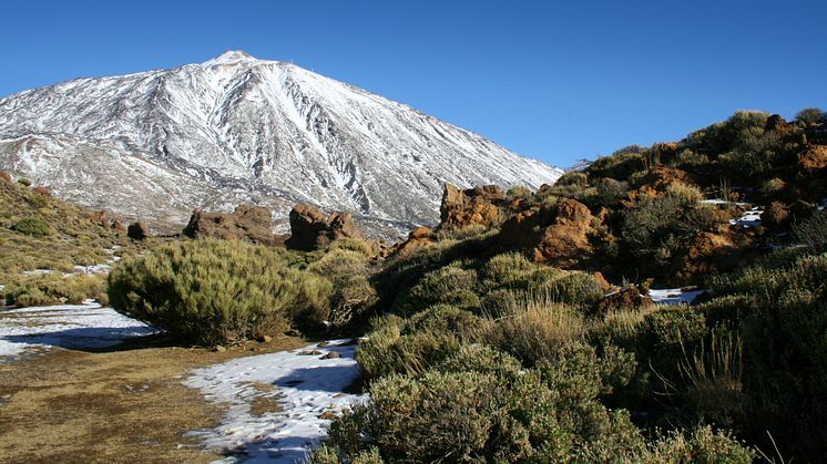 Teide nationalpark