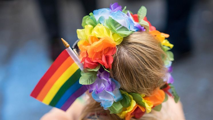 Medborgarskolan tar ett helhetsgrepp och samarbetar med alla Skånes Prideorganisationer.