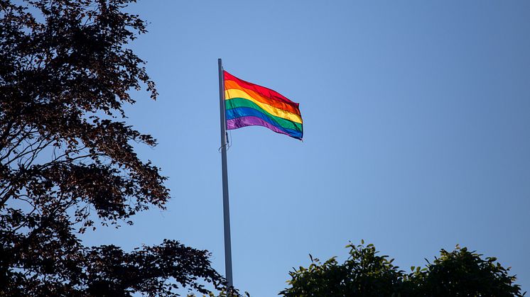 Malmö stad intensifierar arbetet med att hbtq-certifiera sina verksamheter.    Foto: Per Pettersson