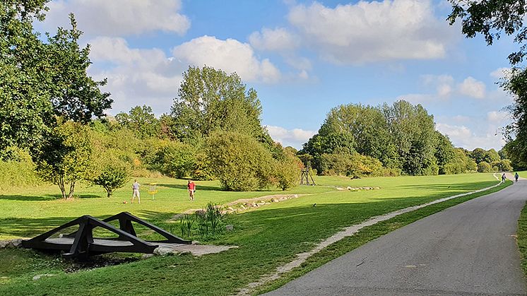 Discgolfspelare på Sankt Hans backar