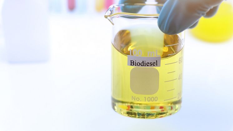 Biodiesel_stor