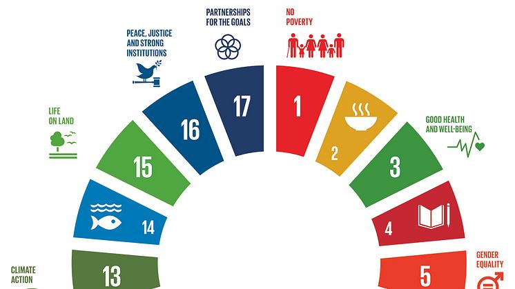 All SDGs are relevant to us as a company and to the investments that we make in order to create sustainable businesses. At the same time, some of the goals are more prominent than others in our business.