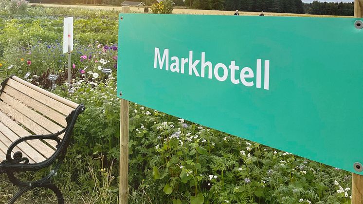 Under våren anlades ett så kallat markhotell i Öjebyn på Agro Park. Det är en, för Norrbotten, relativt ny metod att odla grönsaker och blommor i kommersiellt syfte.