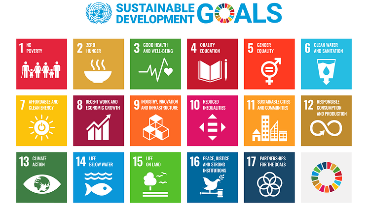 Wissenschaft und Wirtschaft entwickeln Hilfe für Unternehmen bei der Umsetzung der SDGs 