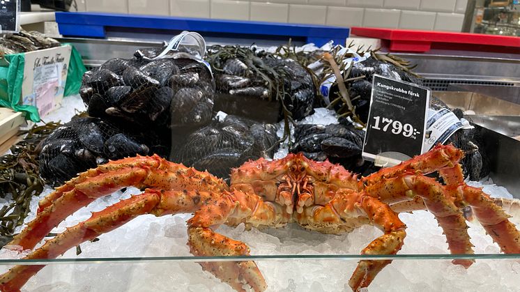 Photo: Dag Sørli, Norwegian Seafood Council