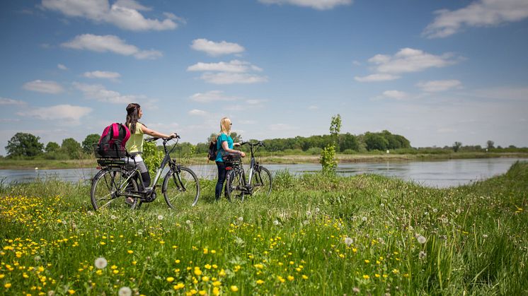 Die Weiten Brandenburgs genießen kann man bei einer schönen Radtour wie hier auf dem Oder-Neiße-Radweg. Foto: Florian Läufer.