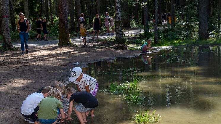 Hjärstaskogen ska bland annat få en groddamm liknande den i Varbergaskogen. Foto: Susanne Flinck