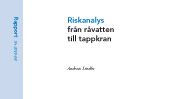 SVU-rapport 2010-08: Riskanalys från råvatten till tappkran (dricksvatten)