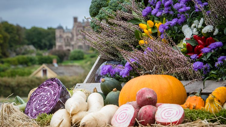 Skördefest på Tjolöholms Slott 16-18 september