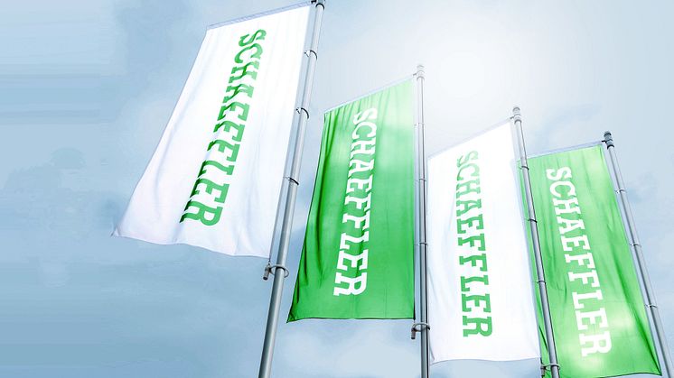 Schaeffler Flags