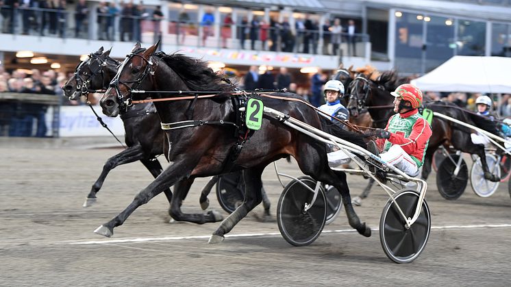 Extreme är danske Steen Juuls senaste storstjärna, på lördag körs han av Jägersros Thomas Uhrberg. Foto: Malin Albinsson/TR Bild