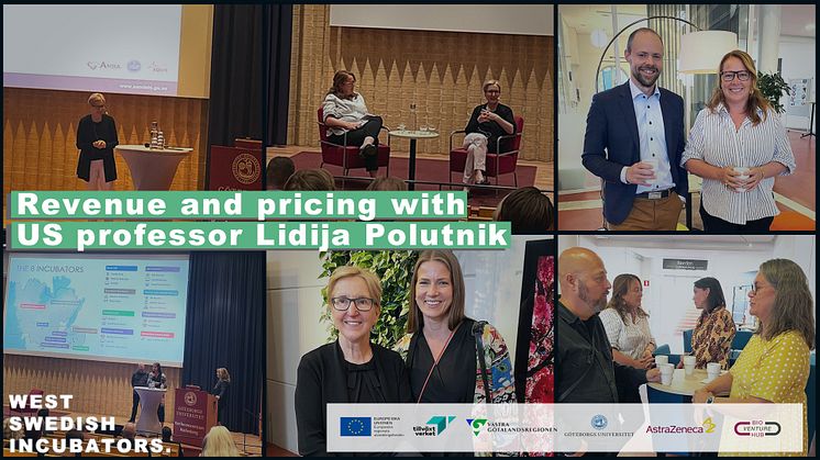 Summary of the "Revenue & Pricing models" session with US professor Lidija Polutnik 