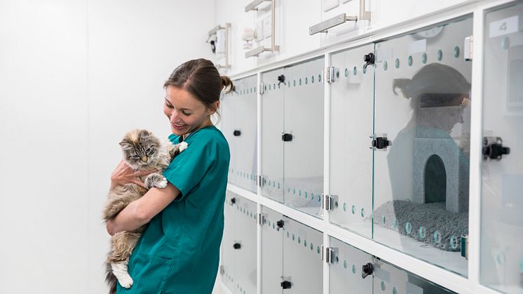 Hvor ofte kommer dit kæledyr egentlig til dyrlæge?